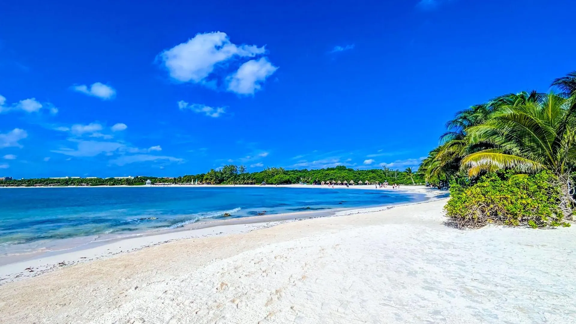 Lägenhet A2 Romantic Beachside Escape Capri Theme Memory Foam King Bed Kitchen Ac Playa del Carmen